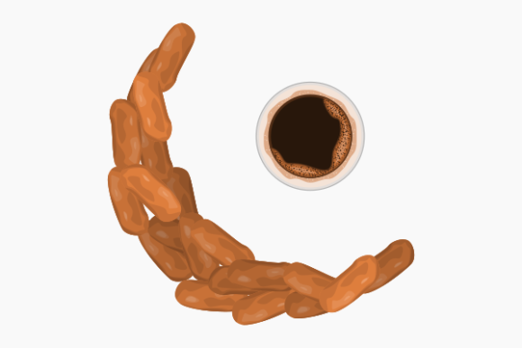 Download Dates Fruit in Crescent Shape and Coffee - Dates Collection